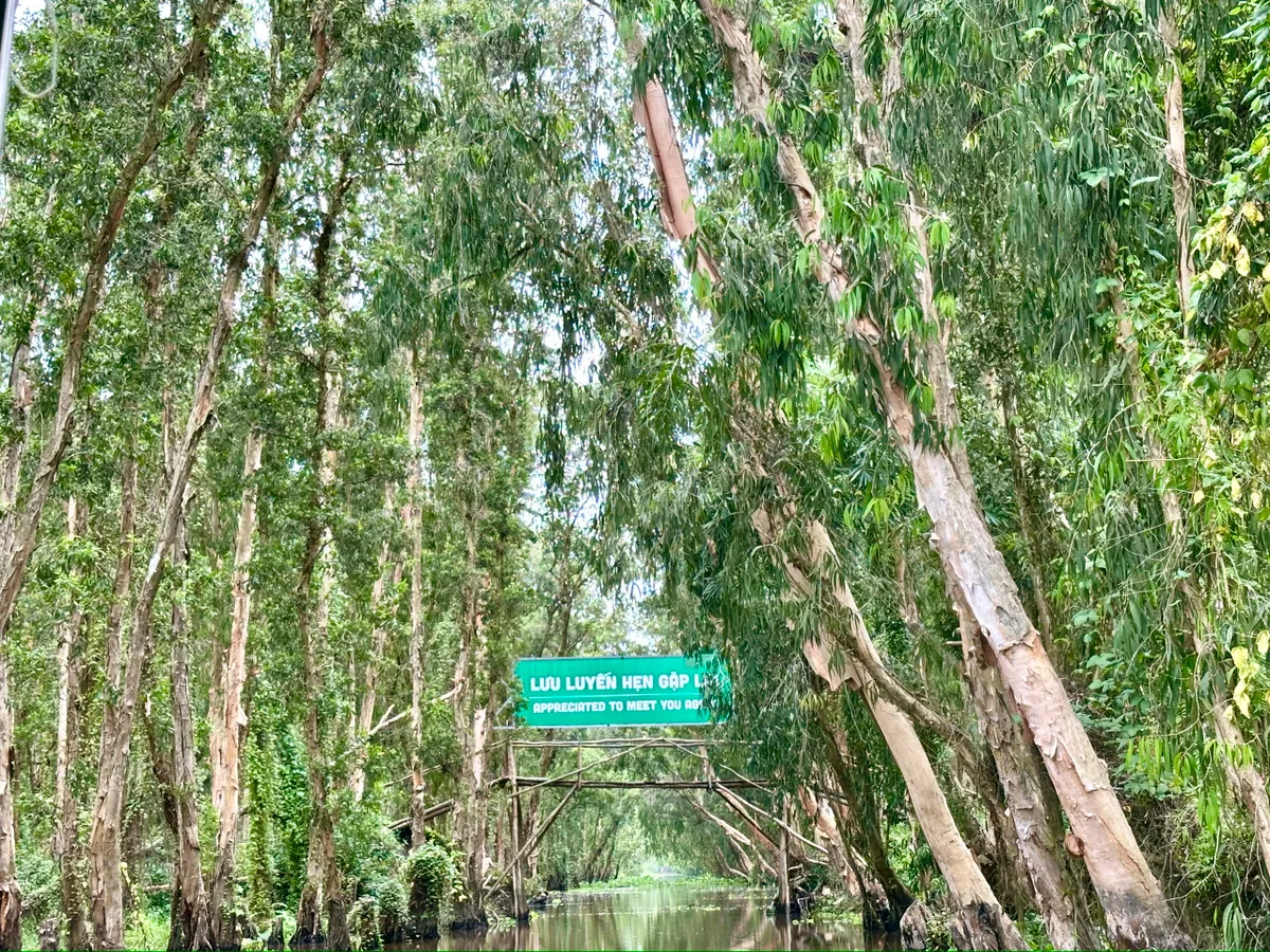 An Giang: điểm hẹn tâm linh và sinh thái của Đồng bằng sông Cửu Long- Ảnh 8.