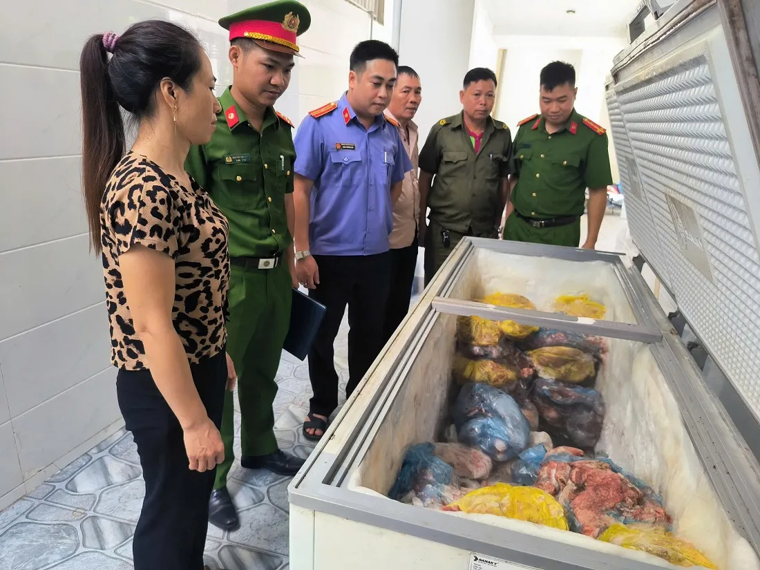 Khởi tố người phụ nữ bán thịt nhiễm dịch tả lợn châu Phi  - Ảnh 1.