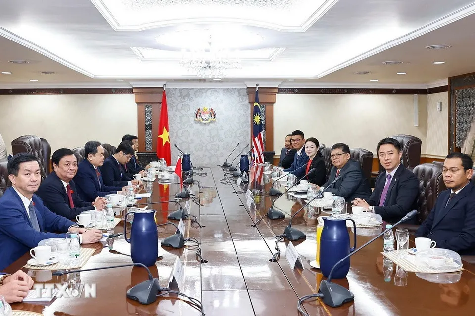 Chủ tịch Quốc hội Trần Thanh Mẫn hội đàm với Chủ tịch Hạ viện Malaysia - Ảnh 2.