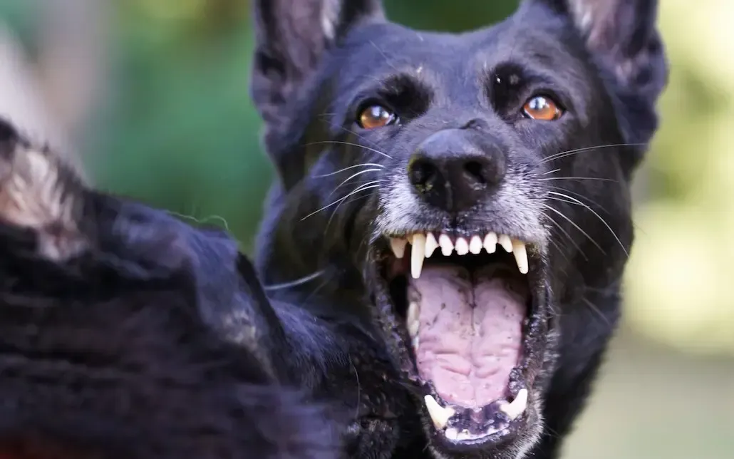 (Ảnh minh họa: Unsplash)