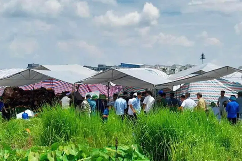 Hưng Yên: Khởi tố đối tượng xâm hại mồ mả, hài cốt - Ảnh 1.