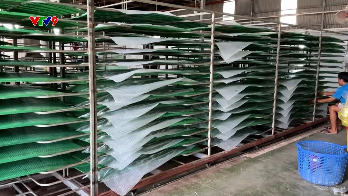 Giải pháp xanh cho làng nghề bánh tráng