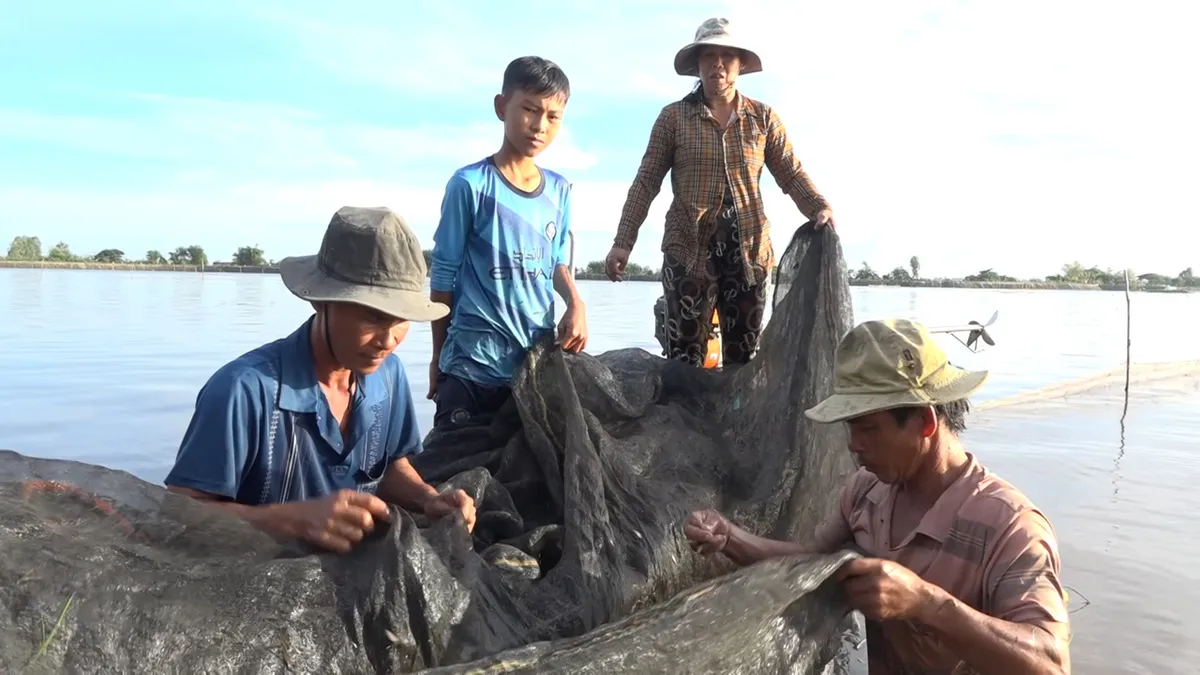 Về miền Tây nghe chuyện mùa nước nổi- Ảnh 3. Về miền Tây nghe chuyện mùa nước nổi- Ảnh 3.