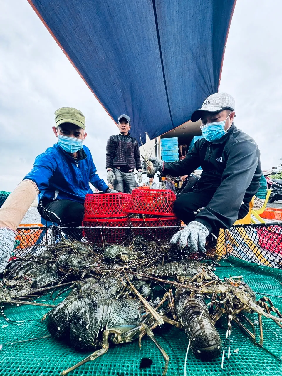 Đắk Lắk: Phấn đấu có 77% xã đạt chuẩn nông thôn mới vào năm 2030 - Ảnh 1.