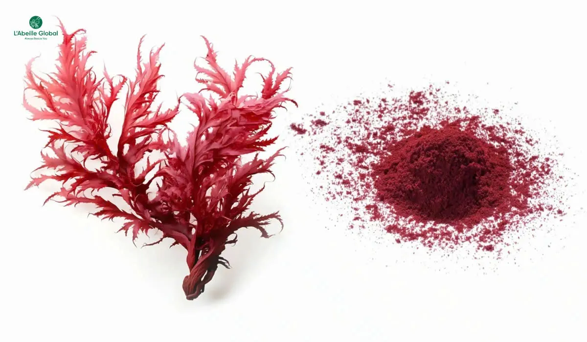 Astaxanthin – Vua chống oxy hoá từ vi tảo đỏ và tiêu chuẩn nguyên liệu cho sản phẩm cao cấp- Ảnh 3. Astaxanthin – Vua chống oxy hoá từ vi tảo đỏ và tiêu chuẩn nguyên liệu cho sản phẩm cao cấp- Ảnh 3.