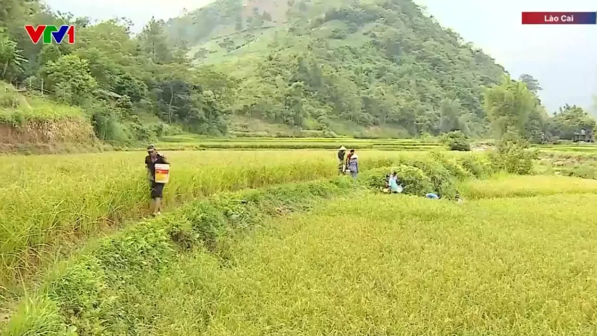 Gian nan lấy nước sinh hoạt ở xã vùng cao Lào Cai - Ảnh 1.