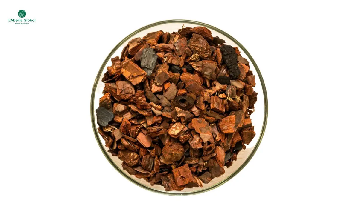 Pycnogenol – Bí quyết hỗ trợ tim mạch và hỗ trợ chống lão hóa từ thiên nhiên- Ảnh 3.