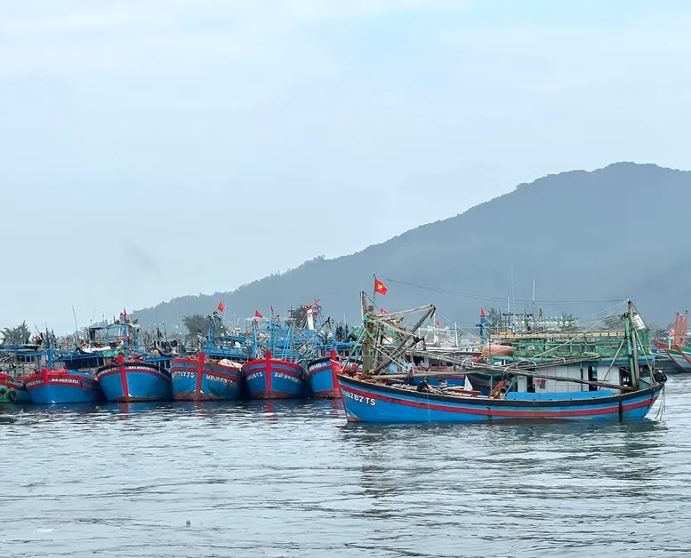 Nhiều tỉnh, thành kêu gọi tàu thuyền tránh trú, ứng phó siêu bão Ragasa  - Ảnh 1.