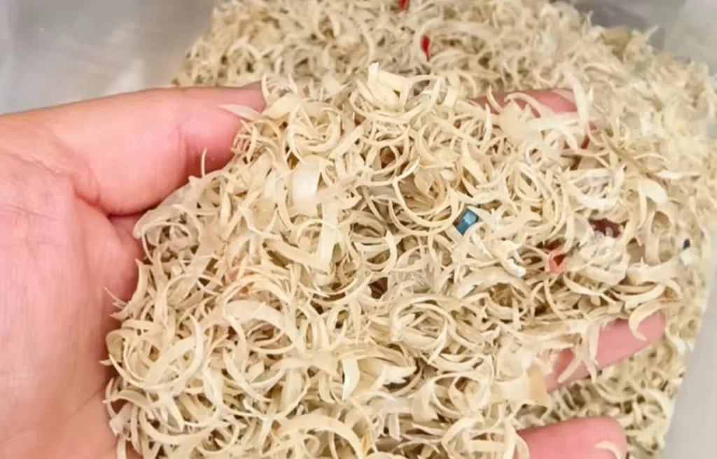 Human fingernails used in TCM to detox, heal wounds after sterilisation process in China - Ảnh 1.