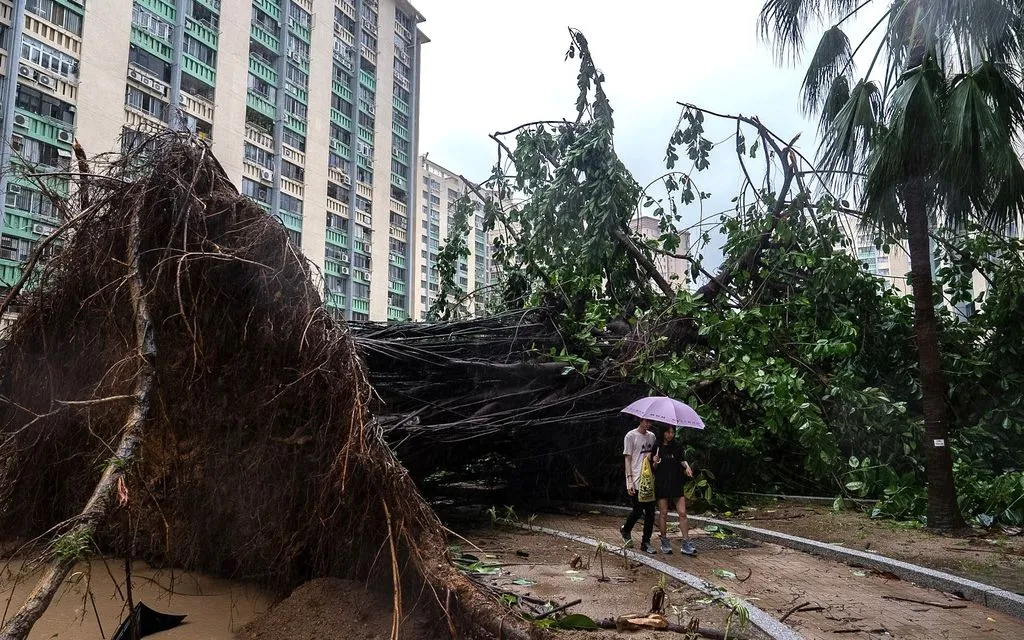Cây bật gốc chắn lối đi tại khu vực Ho Man Tin khi siêu bão Ragasa áp sát Hong Kong (Trung Quốc) ngày 24/9/2025 (Ảnh: AP) Cây bật gốc chắn lối đi tại khu vực Ho Man Tin khi siêu bão Ragasa áp sát Hong Kong (Trung Quốc) ngày 24/9/2025 (Ảnh: AP)