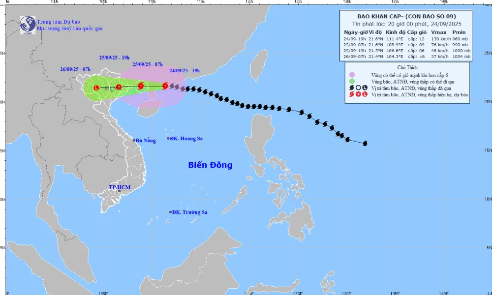 Bão số 9 giảm cấp, cách Móng Cái (Quảng Ninh) 375 km - Ảnh 1.