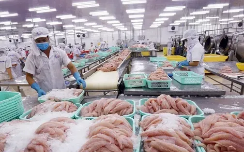 Mặt hàng thủy sản của Việt Nam đang gặp khó khăn khi vào thị trường Mỹ gần đây Mặt hàng thủy sản của Việt Nam đang gặp khó khăn khi vào thị trường Mỹ gần đây