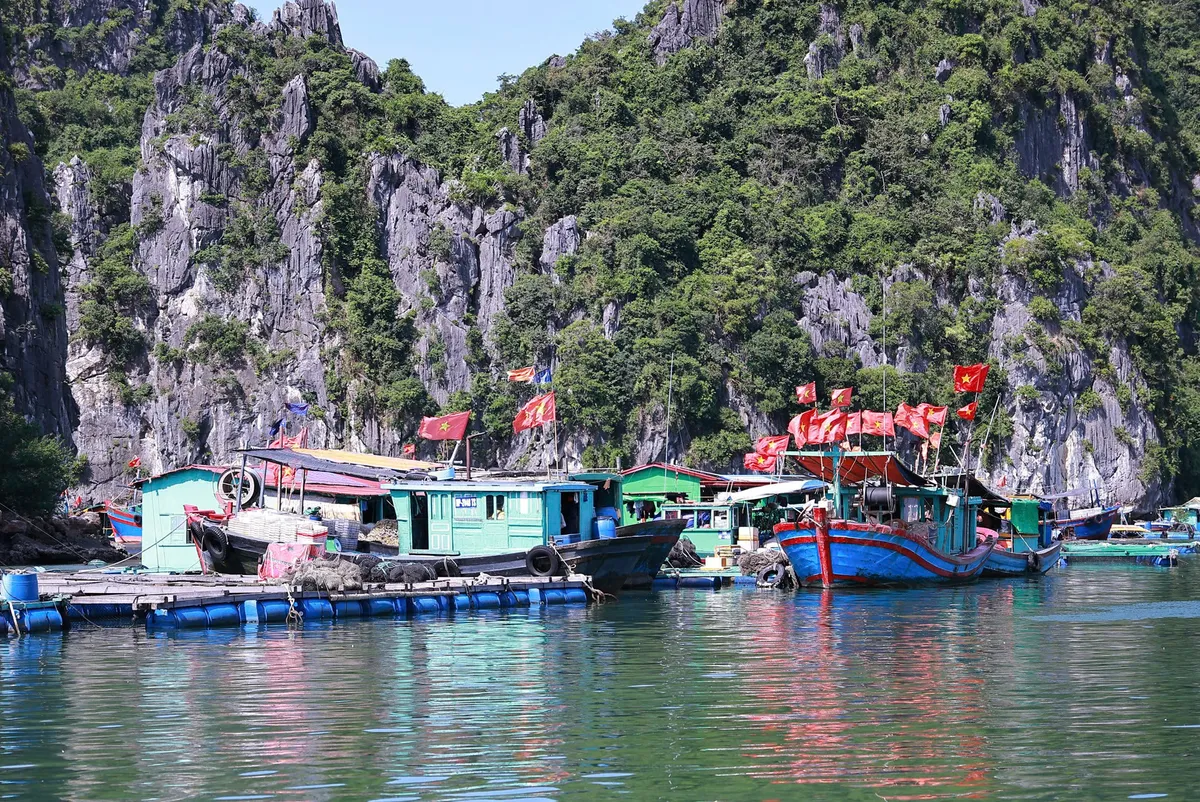 Đặc khu Cát Hải triển khai các phương án phòng chống bão Ragasa  - Ảnh 1.