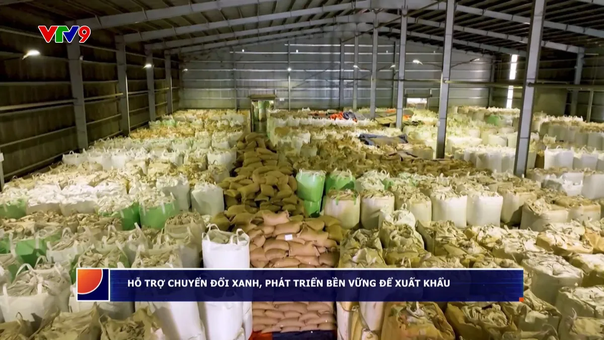 Hỗ trợ chuyển đổi xanh để xuất khẩu sang thị trường EU