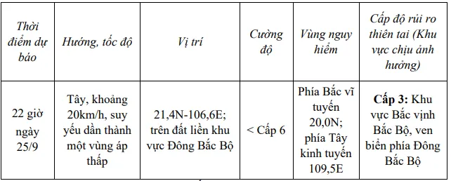 Bão số 9 suy yếu thành áp thấp nhiệt đới  - Ảnh 2.