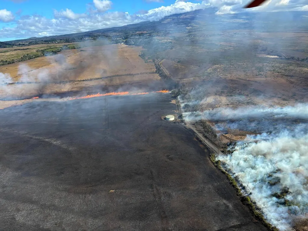 Cháy rừng ở Hawaii buộc người dân Maui phải sơ tán khẩn cấp  - Ảnh 2.