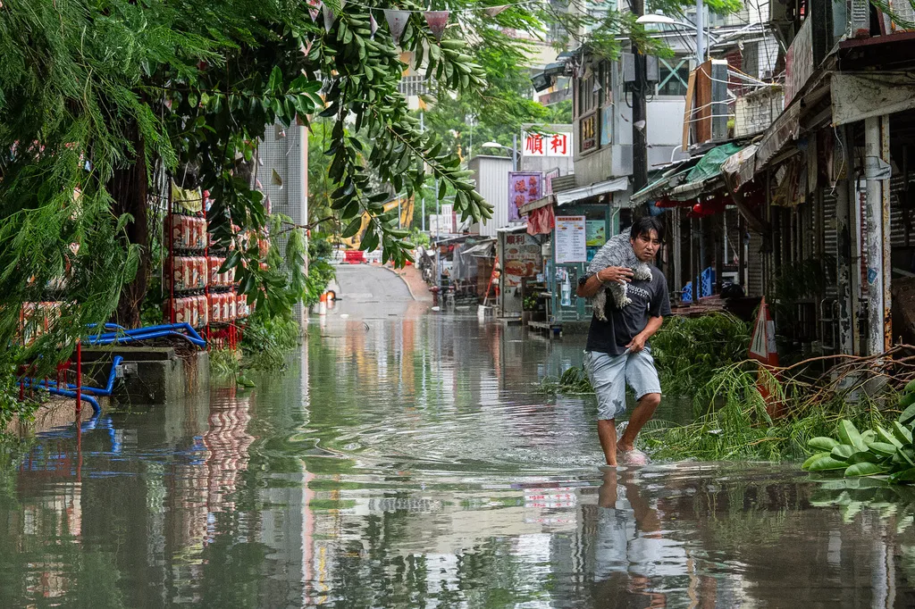 Bão Ragasa “xé toạc” một khách sạn ở Hong Kong (Trung Quốc) - Ảnh 3.