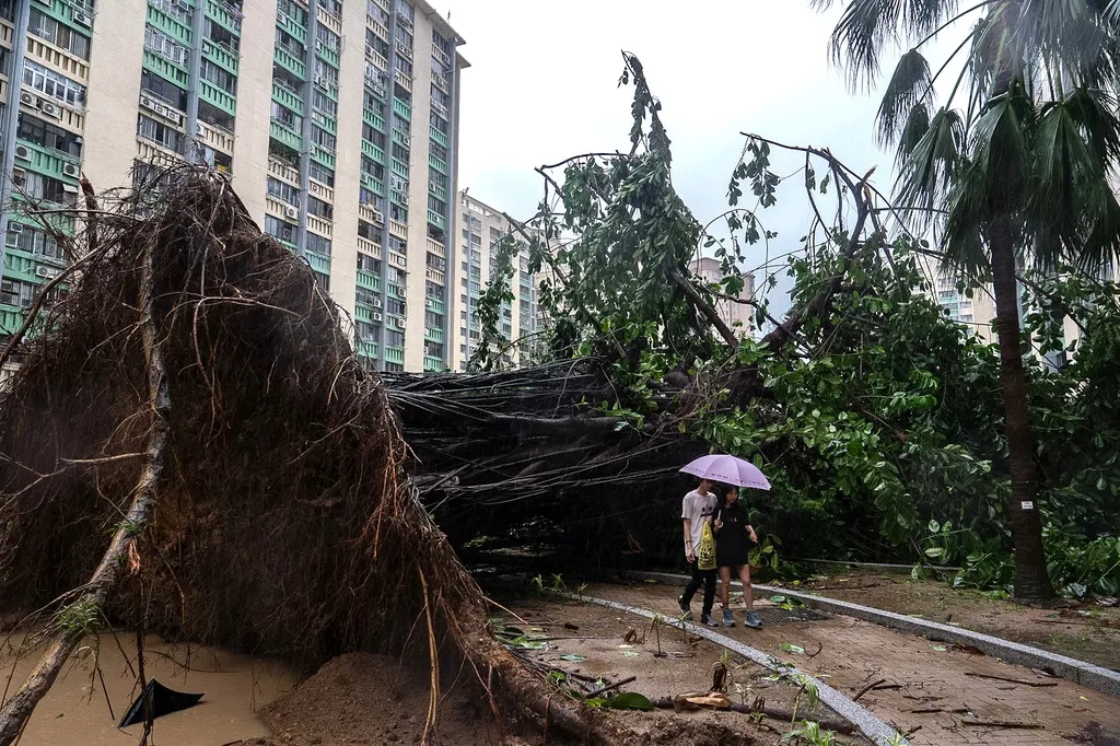 Bão Ragasa “xé toạc” một khách sạn ở Hong Kong (Trung Quốc) - Ảnh 1.