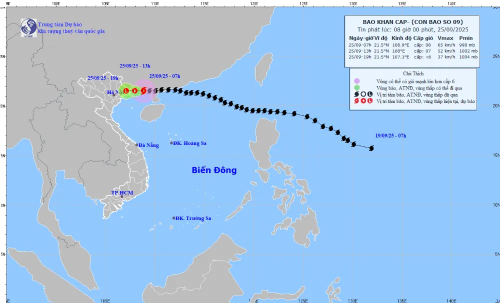 Bão số 9 cách Móng Cái (Quảng Ninh) khoảng 100 km - Ảnh 1.