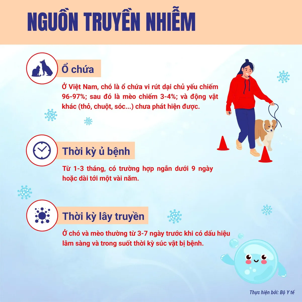Infographic: Bệnh dại và các biện pháp phòng bệnh- Ảnh 3.