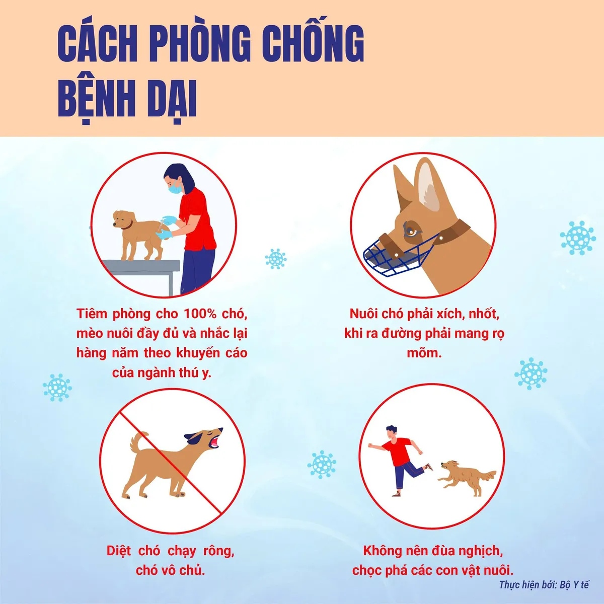 Infographic: Bệnh dại và các biện pháp phòng bệnh- Ảnh 5.