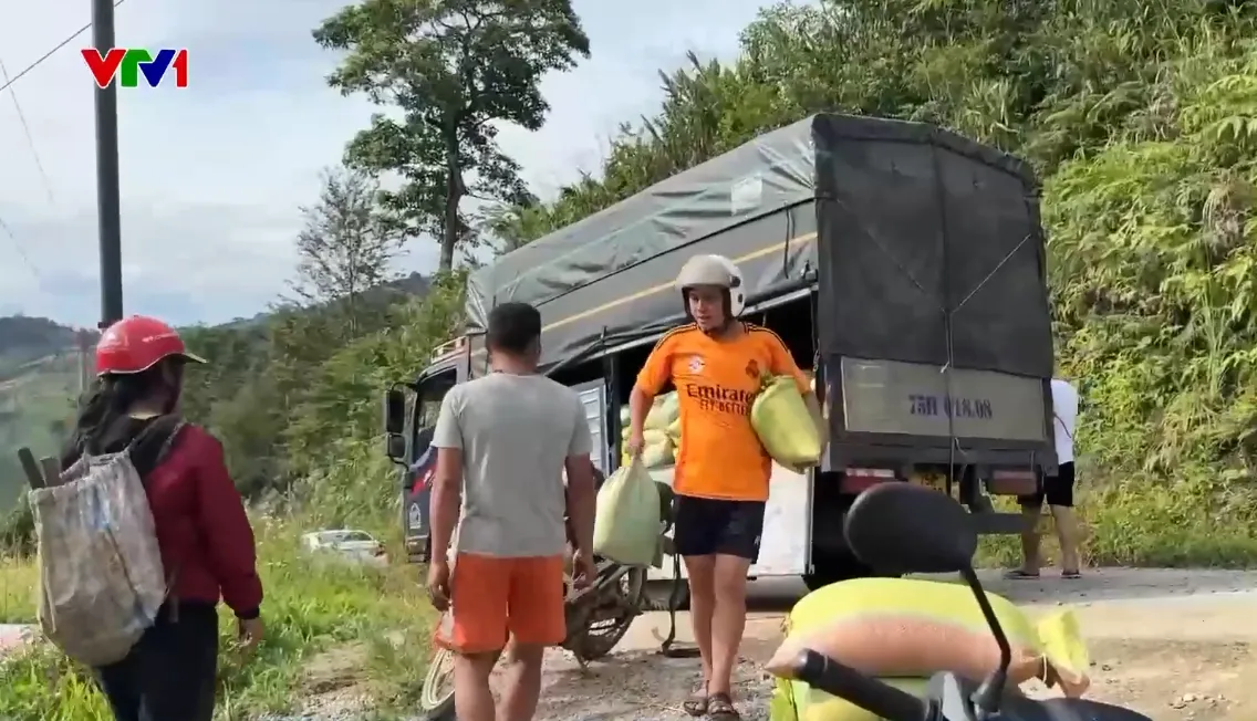 Các tỉnh miền Trung tích trữ lương thực, khẩn trương thu hoạch lúa tránh bão số 9 - Ảnh 1.