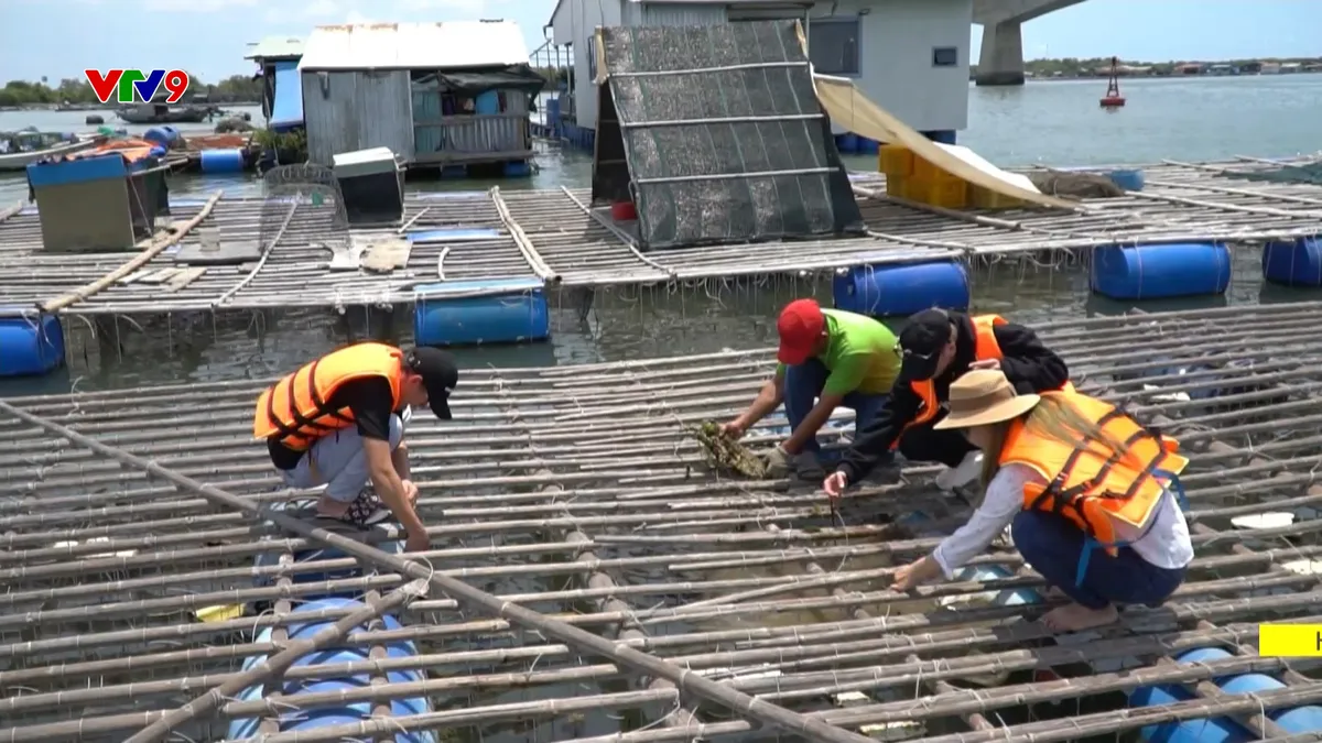 Nuôi thủy sản phục vụ du lịch - Du khách hưởng lợi