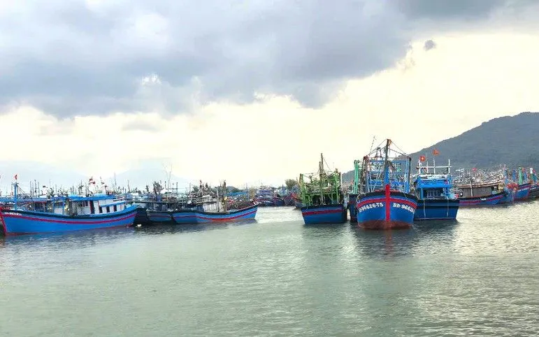 Tính đến 9h ngày 26/9/2025, tổng số tàu cá của Đà Nẵng là 4.148/21.000 lao động, trong đó có 497 tàu/5.098 lao động đang hoạt động trên biển và 3.651 tàu không hoạt động. (Ảnh minh họa - Ảnh: VGP) Tính đến 9h ngày 26/9/2025, tổng số tàu cá của Đà Nẵng là 4.148/21.000 lao động, trong đó có 497 tàu/5.098 lao động đang hoạt động trên biển và 3.651 tàu không hoạt động. (Ảnh minh họa - Ảnh: VGP)