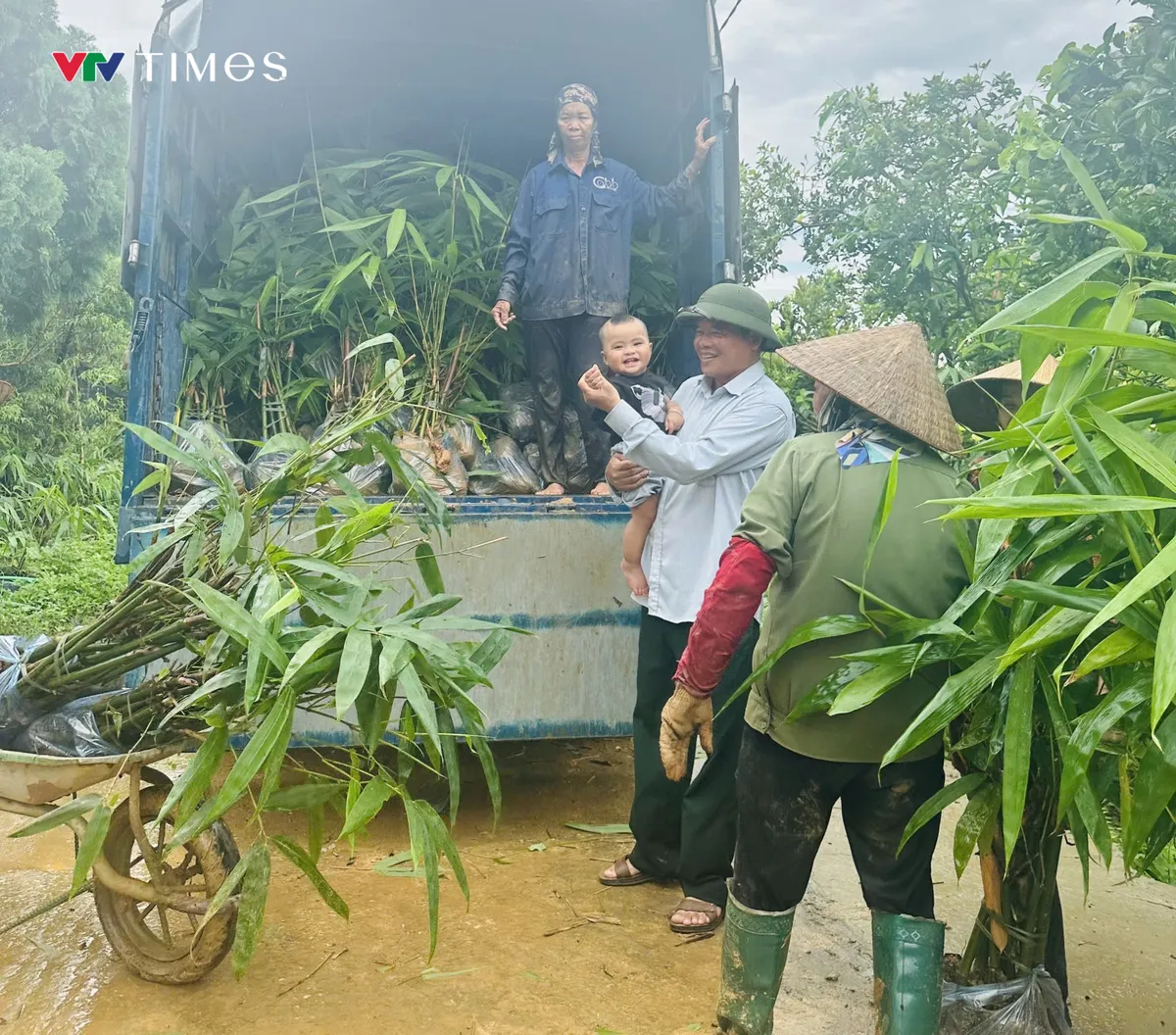  L&atilde;o n&ocirc;ng l&agrave;m gi&agrave;u từ c&acirc;y măng b&aacute;t độ  - Ảnh 3.