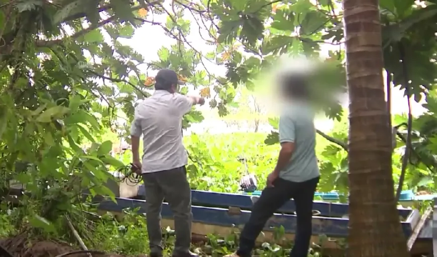 VĨNH LONG TĂNG PH&Ograve;NG CHỐNG KHAI TH&Aacute;C C&Aacute;T TR&Aacute;I PH&Eacute;P - Ảnh 1.