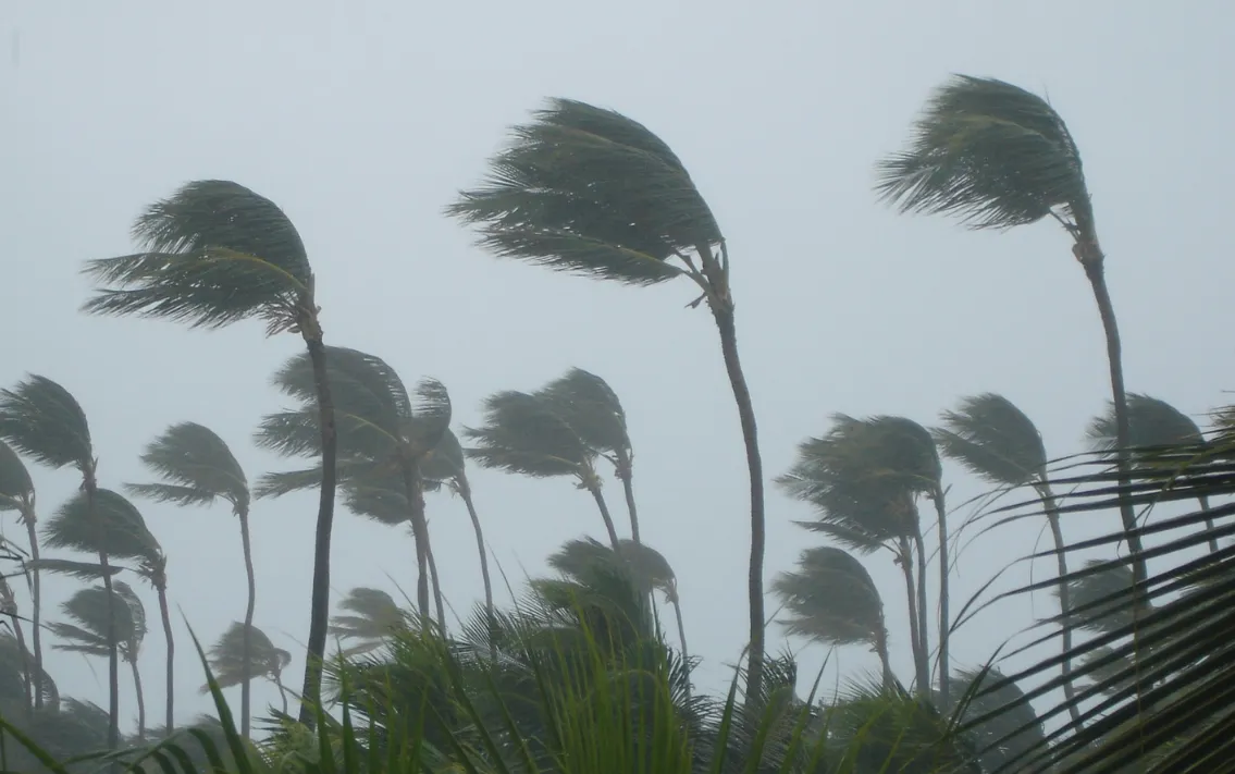 Ảnh minh họa: Getty Images Ảnh minh họa: Getty Images