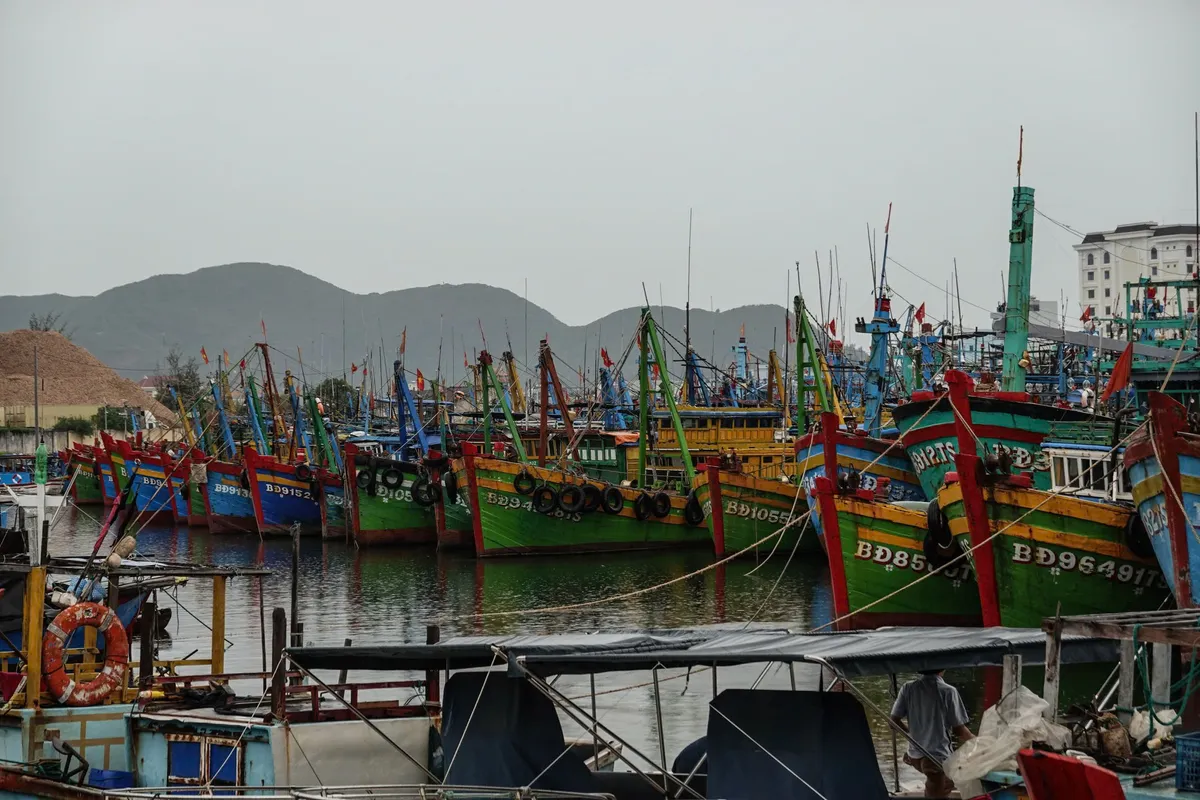 Gia Lai: Hàng trăm tàu cá trong vùng nguy hiểm của bão Bualoi - Ảnh 1.