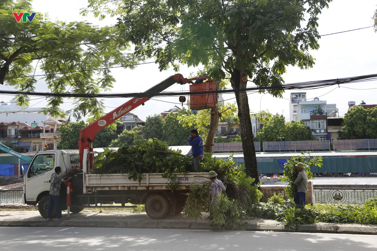 Ninh Bình nghiêm túc triển khai các biện pháp ứng phó bão số 10  - Ảnh 5.