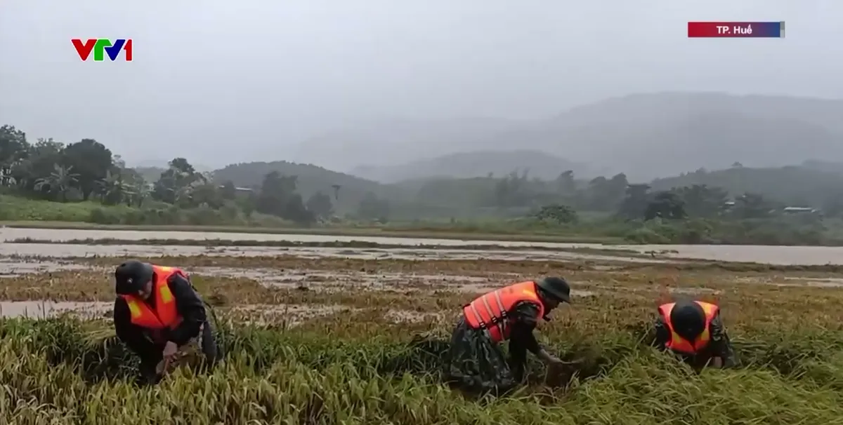 Huế huy động h&agrave;ng trăm c&aacute;n bộ, chiến sĩ khắc phục hậu quả b&atilde;o số 10- Ảnh 3.