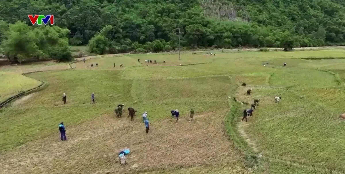 Huế huy động h&agrave;ng trăm c&aacute;n bộ, chiến sĩ khắc phục hậu quả b&atilde;o số 10- Ảnh 4.