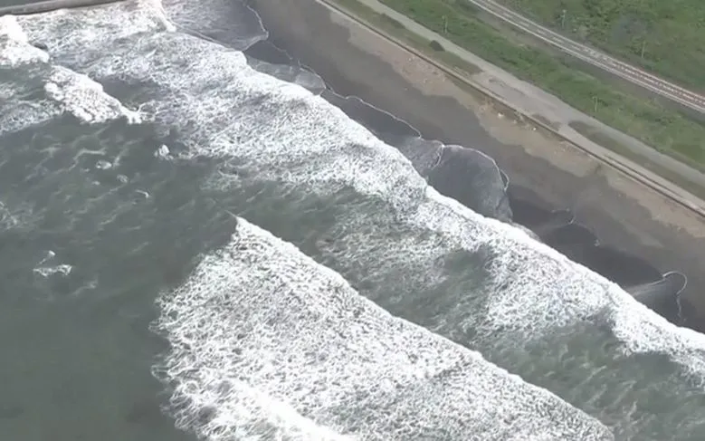 (Ảnh minh họa: 3PM)