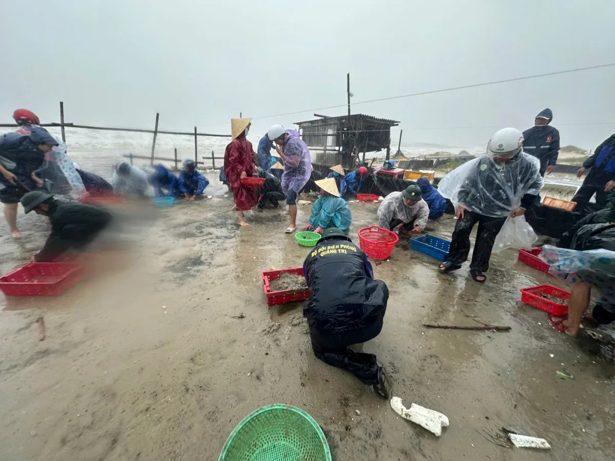 Quảng Trị: Đã có thiệt hại ban đầu do bão số 10 gây ra - Ảnh 2.