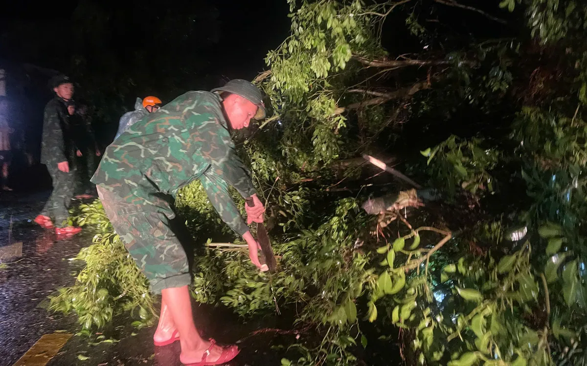 Quảng Trị: Nhiều cột điện, cây gãy đổ ngỗn ngang khi bão đổ bộ. Quảng Trị: Nhiều cột điện, cây gãy đổ ngỗn ngang khi bão đổ bộ.