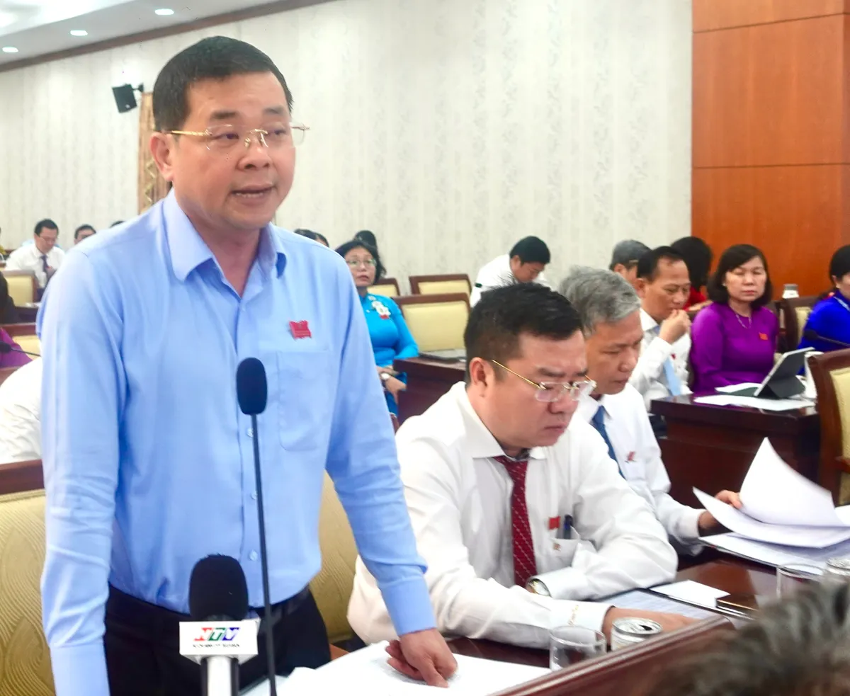 TP Hồ Chí Minh chuyển rừng phòng hô để xây dựng hạ tầng trung tâm Côn Đảo - Ảnh 1.