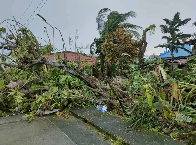 Bão Bualoi tàn phá nhiều quốc gia Đông Nam Á, hàng triệu người bị ảnh hưởng- Ảnh 2. Bão Bualoi tàn phá nhiều quốc gia Đông Nam Á, hàng triệu người bị ảnh hưởng- Ảnh 2.