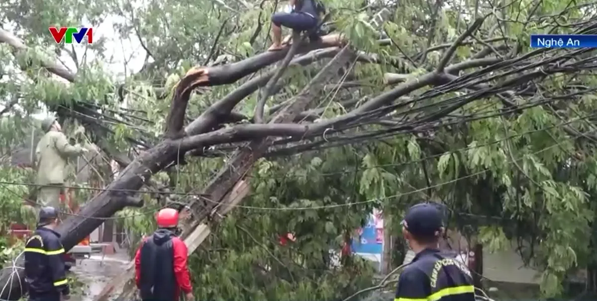 Nghệ An: Thiệt hại nặng nề sau bão - Ảnh 3.