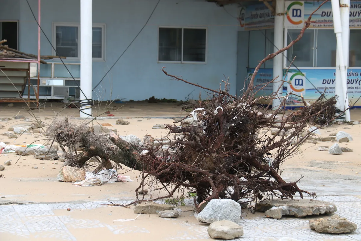 Bãi biển Thuận An tan hoang sau bão số 10 - Ảnh 4.