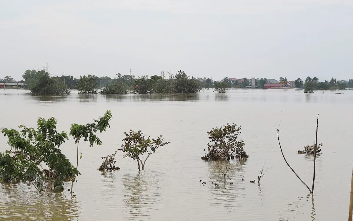 Ảnh minh họa Ảnh minh họa