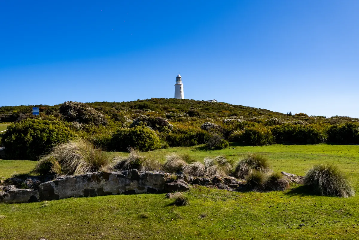 Bruny Island: Hành trình khám phá thiên nhiên hoang sơ và cực quang kỳ ảo - Ảnh 6.