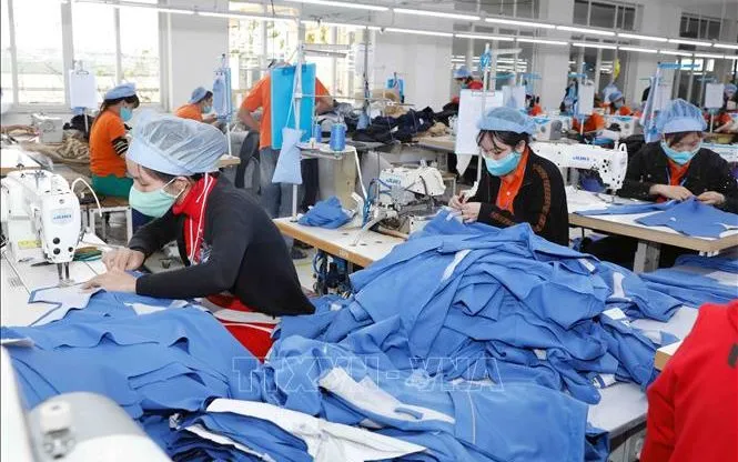 May hàng xuất khẩu tại Công ty may Hưng Việt (Phố Nối, Hưng Yên). Ảnh minh họa: Trần Việt/TTXVN