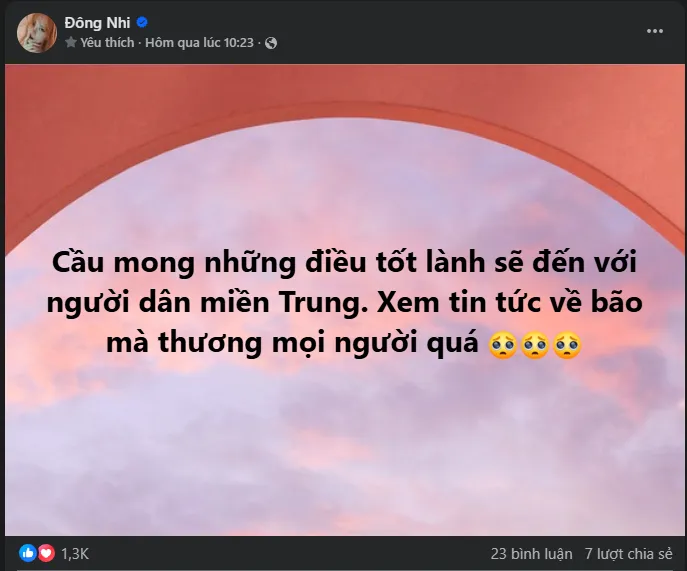 Các nghệ sĩ rời lịch ra sản phẩm, hướng về đồng bào chịu ảnh hưởng bão số 10  - Ảnh 8.