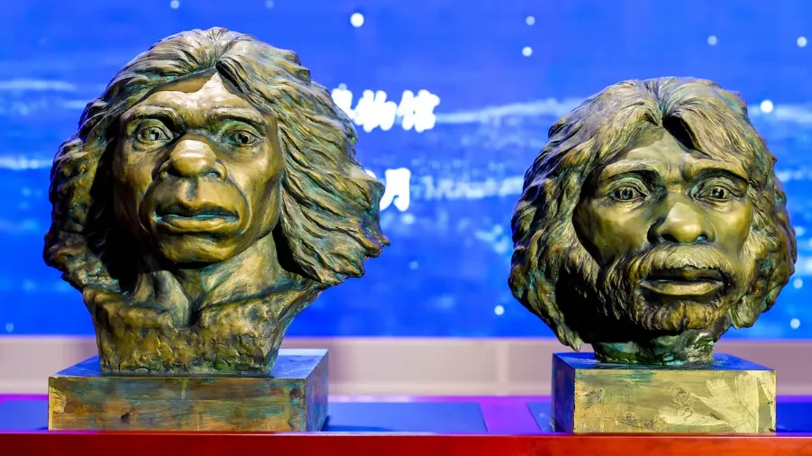 Hộp sọ người cổ đại ở Trung Quốc có thể làm thay đổi dòng thời gian tiến hóa của loài người - Ảnh 2.
