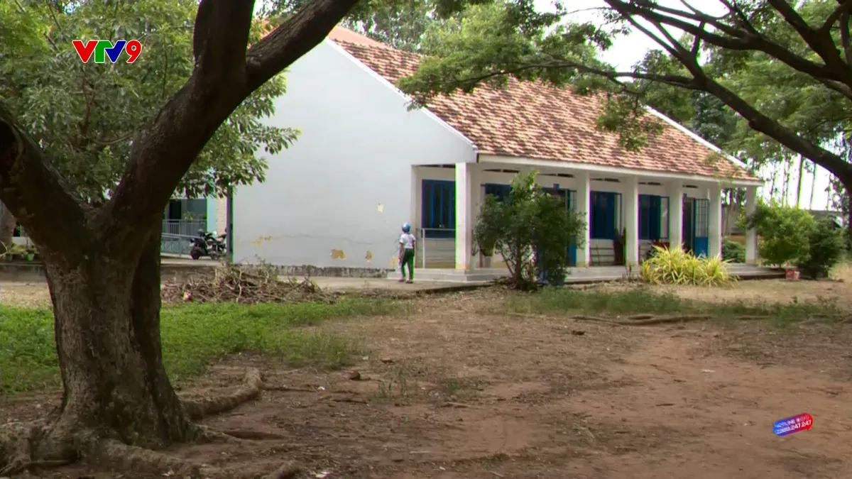 ALOV9-WEB-TRUONG HỌC XÂY XONG RỒI BỎ HOANG-TRƯỜNG CŨ.jpg