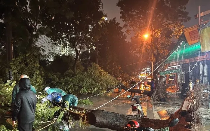 Loạt cây xanh bật gốc sau cơn mưa lớn kèm gió mạnh (Nguồn: NLĐ) Loạt cây xanh bật gốc sau cơn mưa lớn kèm gió mạnh (Nguồn: NLĐ)