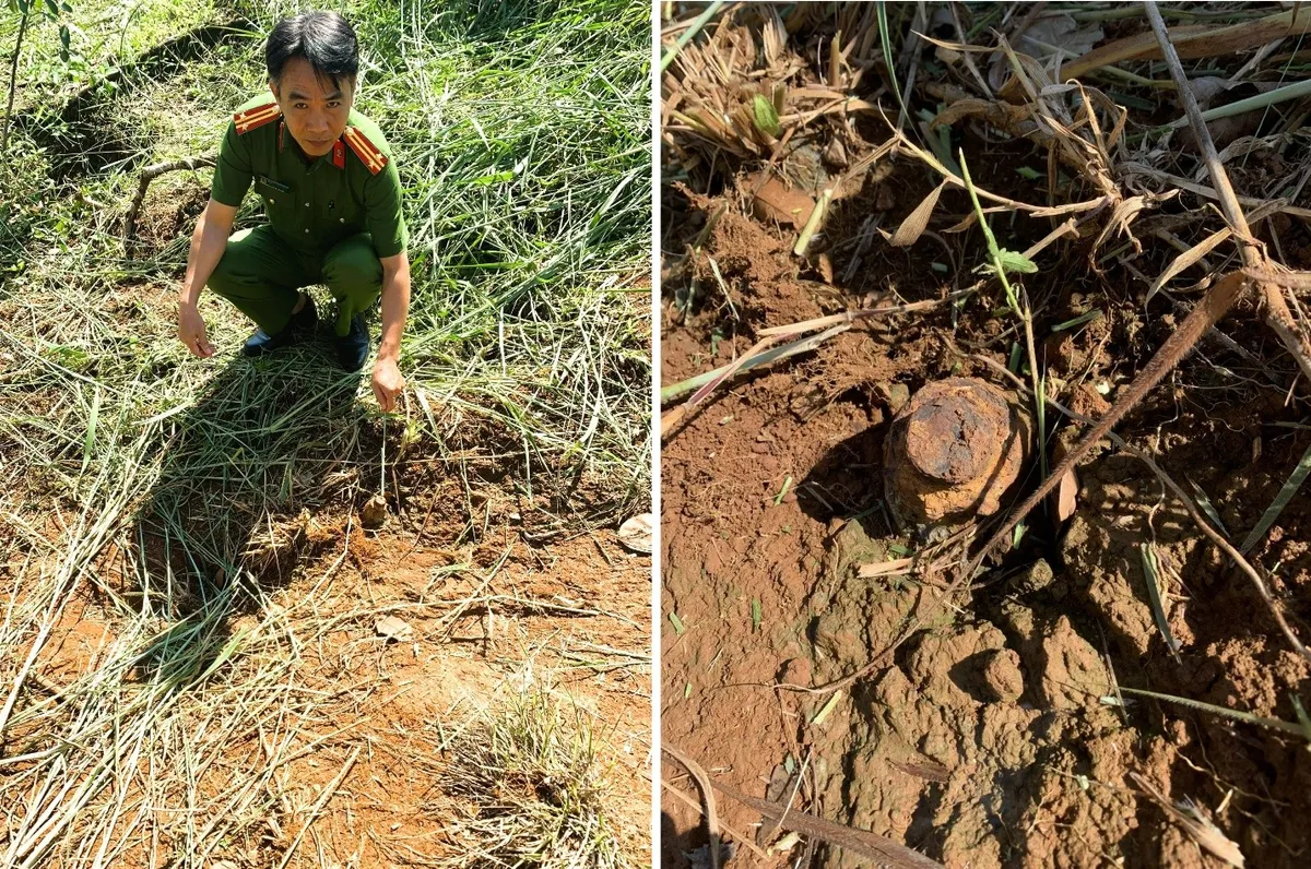 Đồng Nai: đang làm rẫy thì phát hiện vật thể nghi là bom mìn chiến tranh- Ảnh 1.